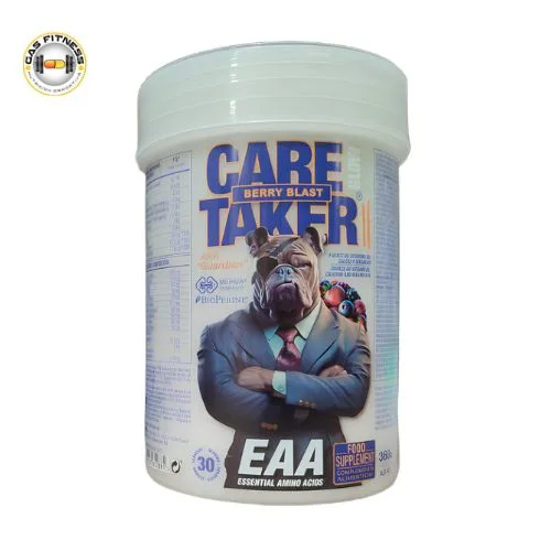 Caretaker II EAA Glow – 360Gr.