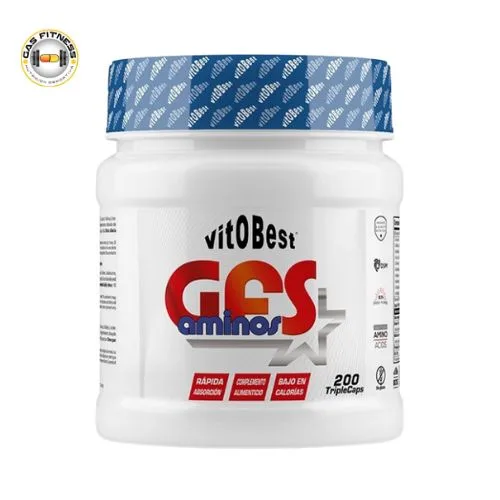 GFS Aminos – 200Gr.